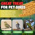 5LBS GMOFree Sun Dried Spray Millet Original Bird Treat Millet for