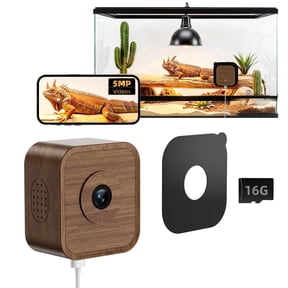 5MP Aquarium & Terrarium Camera, WiFi Pet Camera with Color Night Vision, Daily Time-Lapse Video, 120 Wide-Angle Anti-Glare Lens, AI Motion Alerts, Easy Magnetic Install for Fish, Reptiles, Insect