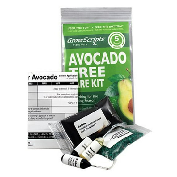 5PC Avocado Tree Care Kit for Small Patio/Indoor Trees Grown in Containers