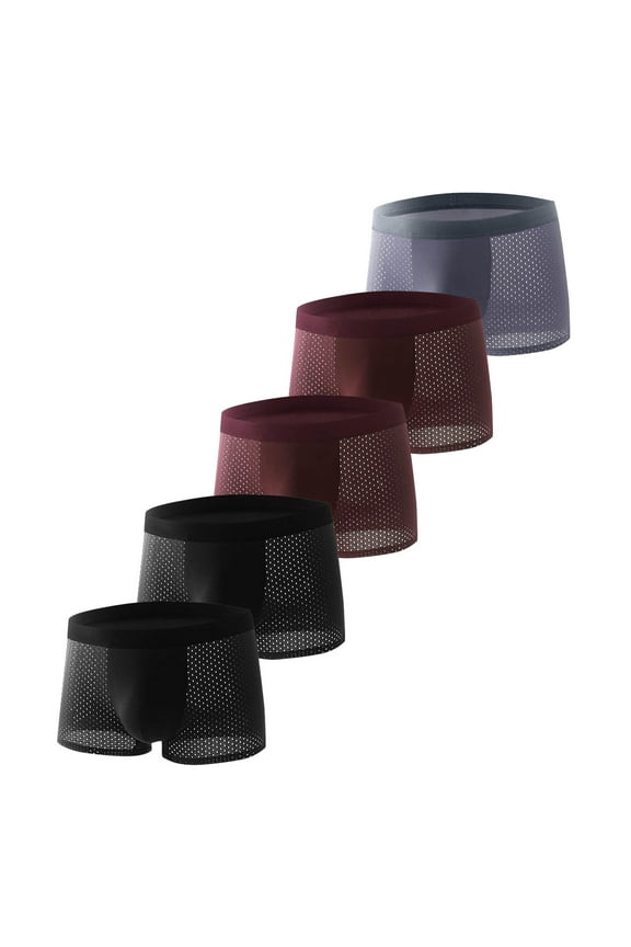 5PC Men Sexy Mesh Fishnet Underwear Breathable Cool Boxer Briefs Comfort Soft Solid Color Boxers Shorts