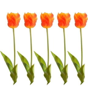 5PCS Artificial Parrot Tulips Silk Floral Flowers for Wedding Bouquets, Garden Decor