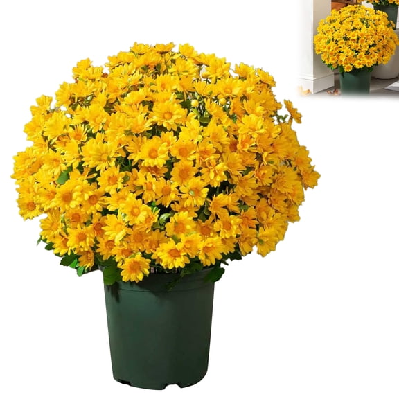 5PCS Artificial Sunset Chrysanthemum Flower for Outdoors Look Real, Fall Silk Flower Plants for Outside Yard Decor Fall Florals Porch Decorations,Yellow