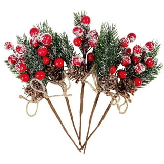 5PCS Christmas Berries Red Stems, Evergreen Pine Branches, Snow Flocked Red  Holly Berry Pine Cone Floral Sprays Decoration, Winter Holiday Floral Picks  