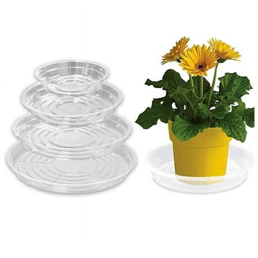 5PCS Clear Plastic Plant Saucer Drip Trays Small Plant Plate Dish for Indoor Flower Pots and Planters