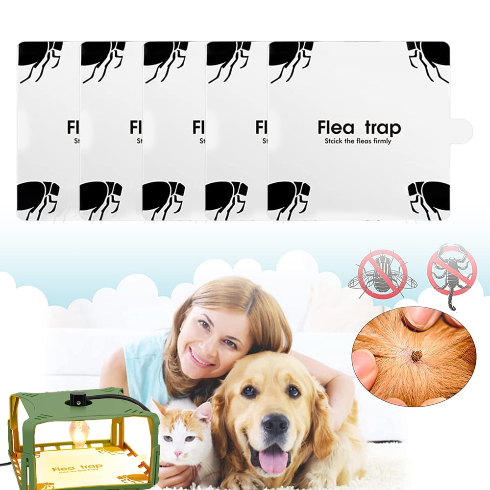 5PCS Flea Trap Refill Discs Replacement Glue Boards, 5.7"X6.3" Sticky