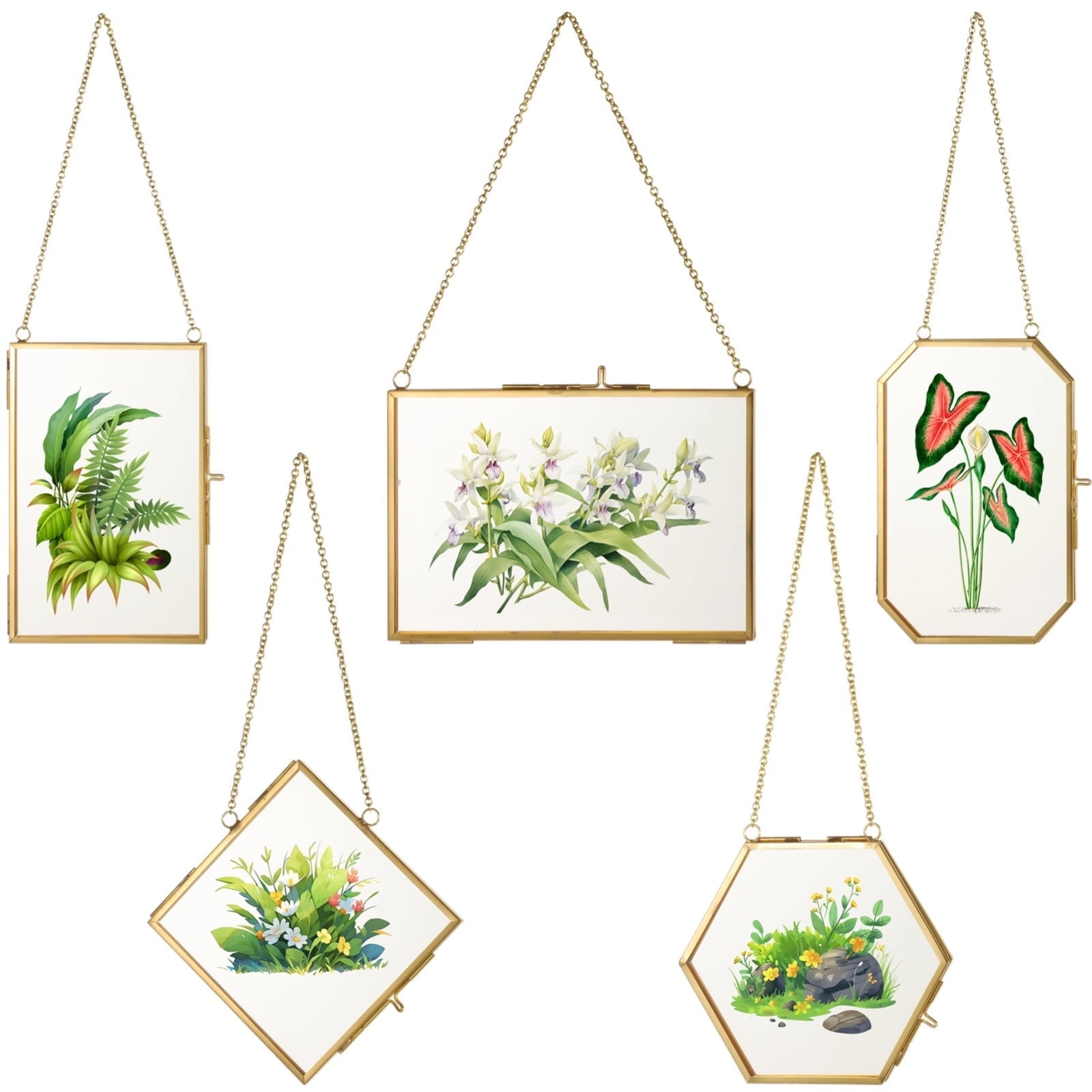 5PCS Floating Glass Frames, Hanging Gold Pressed Flower Picture Frames, Dried Flower Frames with Chains, Double Artwork Display Frames for DIY Crafts & Decor, 5 Shapes