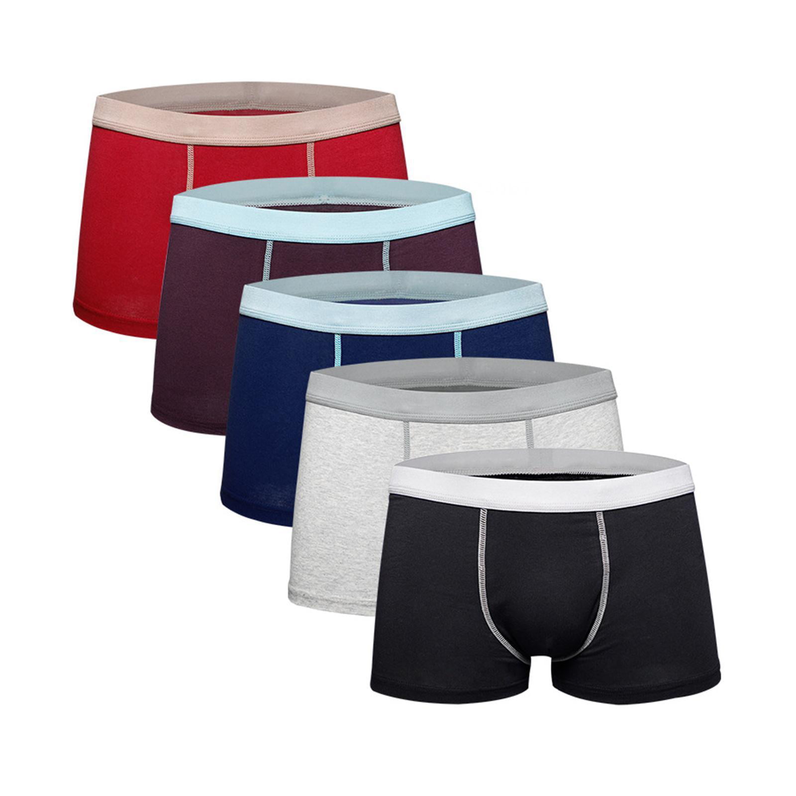 5PCS Men's Underpants Boxer Shorts Cotton Underpants Breathable Underpants  Sports Daily Outdoors 5PCS 2XL 