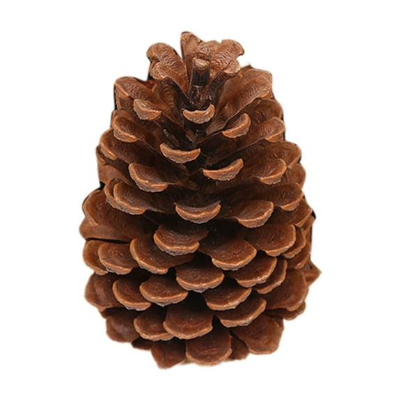 5PCS Natural Pine Cones for Fall Wreath Table Home Decor