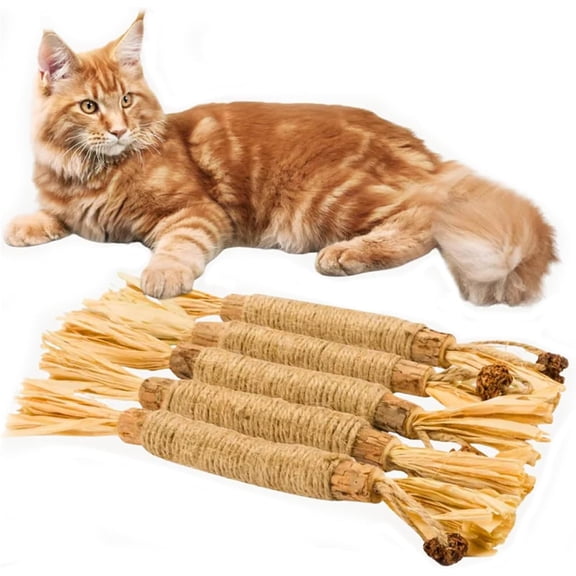 5PCS Natural Silvervine Dental Sticks for Cats, Cat Toys Interactive Kitten Teething Toys, Natural Chew Stick for Teeth Cleaning & Indoor Kitty Dental Care