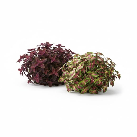 5Pack Artificial Coleus Plants UV Resistant Silk Greenery Stems for Hanging Baskets,Porch,Garden & Wall Landscaping,Faux Leaves for Indoor & Outdoor