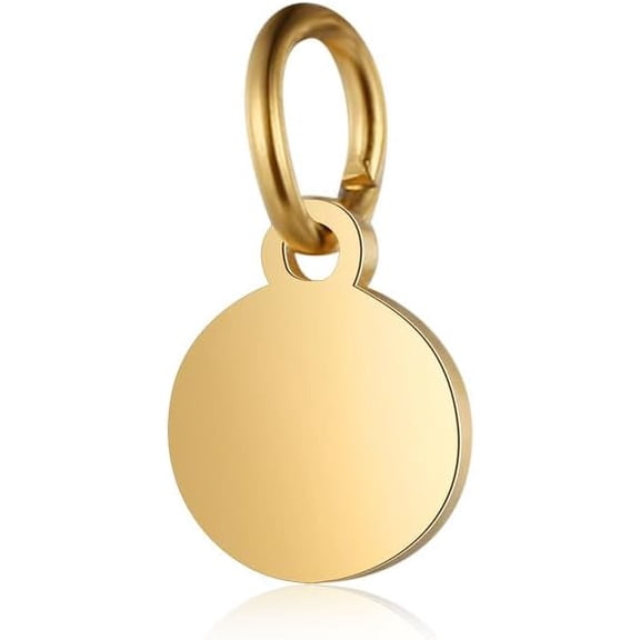 5Pcs 201 Stainless Steel Pendants Flat Round Stamping Blank Tag Golden for Women Birthday Festival Elegant Gifts Personalized Jewelry 7.5x6x1mm Hole: 3.5mm Gold