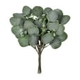 thumbnail image 1 of 5Pcs Artificial Eucalyptus Leaves Stems with White Seeds Short Silver Dollar Artificial Flowers for Decoration Greenery Stems Plants for Flower Arrangement, 1 of 8