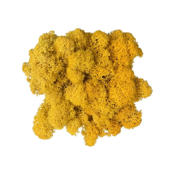 5Pcs Artificial Moss! Usloyux Preserved Green Moss for Decor, Fake Moss Grass for Floral Arrangements DIY Crafts, Realistic Look for Terrarium Fairy Garden, Home Living Room Wall Decoration, 20g Bag