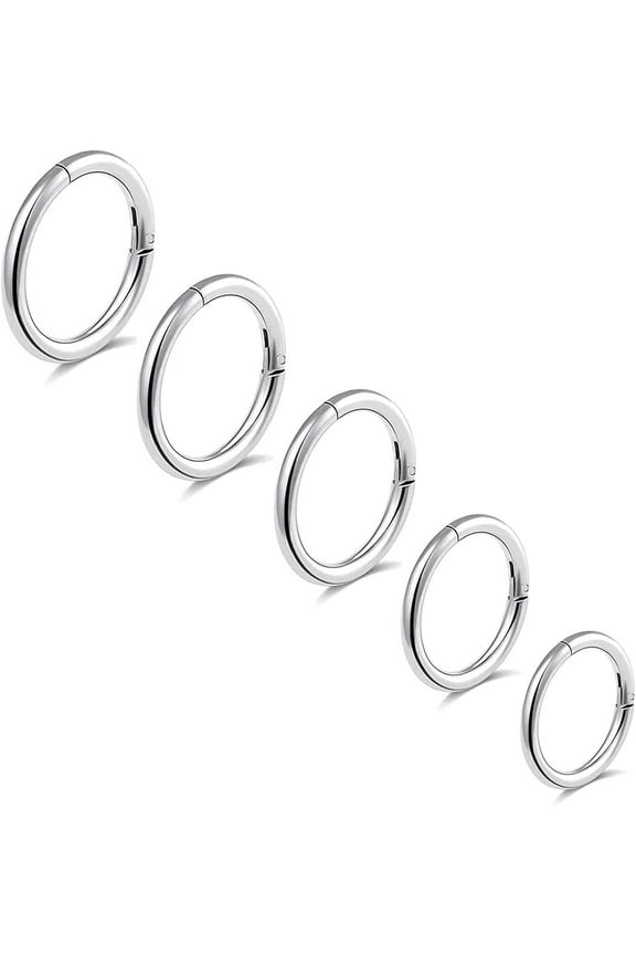 5Pcs G23 Titanium Nose Rings 16G/18G/20G Hinged Clicker Segment Nose Rings Lip rings Tragus Cartilage Earrings 6mm 7mm 8mm 9mm 10mm Hypoallergenic Nose Rings Women Men Hoop Septum[p883]