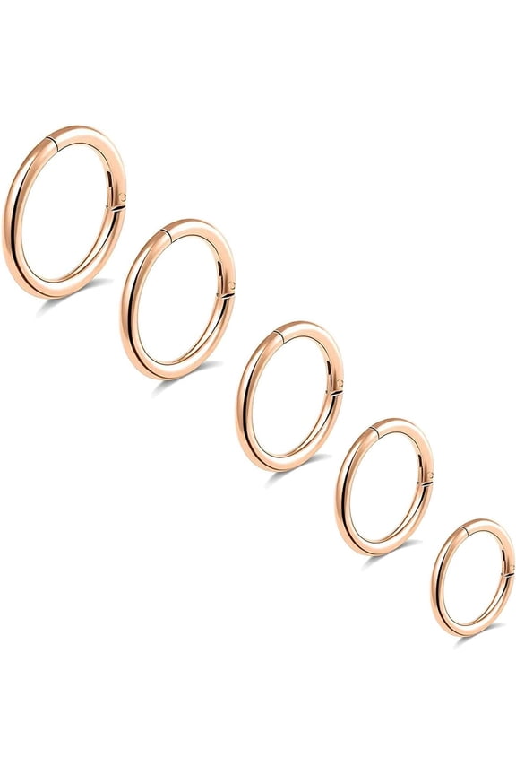 5Pcs G23 Titanium Nose Rings 16G Hinged Clicker Segment Nose Rings Hoop Lip Septum rings Multi-Color Tragus Cartilage Sleeper Earrings 6mm 7mm 8mm 9mm 10mm Hypoallergenic Nose Rings for Women Men
