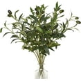 thumbnail image 1 of 5Pcs Olive Branches for Vases, Faux Olive Tree Branches with Lifelike Olives, Artificial Greenery Stems for Vases Centerpieces Floral Arrangements Decor, 18 Inch, 1 of 5