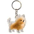 thumbnail image 1 of 5Pcs Pet Hair Memorial Keychain, Iuhan Pet Hair Memorial Keychain, Dog Hair Keepsake Pendant, Transparent Window Refillable Pet Hair Collector, Emotional Memorial Gift For Dog Cat Lovers, Pet Loss, 1 of 9
