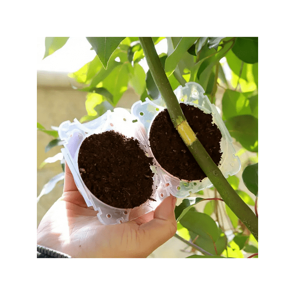 5Pcs Plant Root Growing Box Propagation Ball Reusable Grafting Device Garden Plant Rooting Ball incubator Tree Grafting Rooting Device Plant Fast Growth Air Layering Pod S