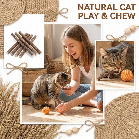 5Pcs Sticks for Cats 9.1in Cat Chew Toy, Catnip for Indoor Cats, Easter Gifts for Cat Lovers C