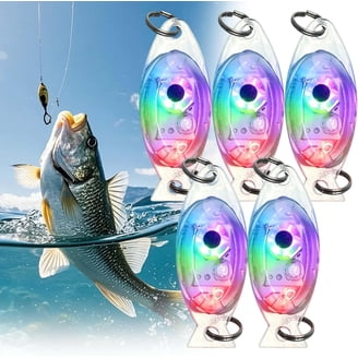 bright light fish lures BOS Fabrication Glow Can Lure Charger and are shallow divers. Bright Light Bait
