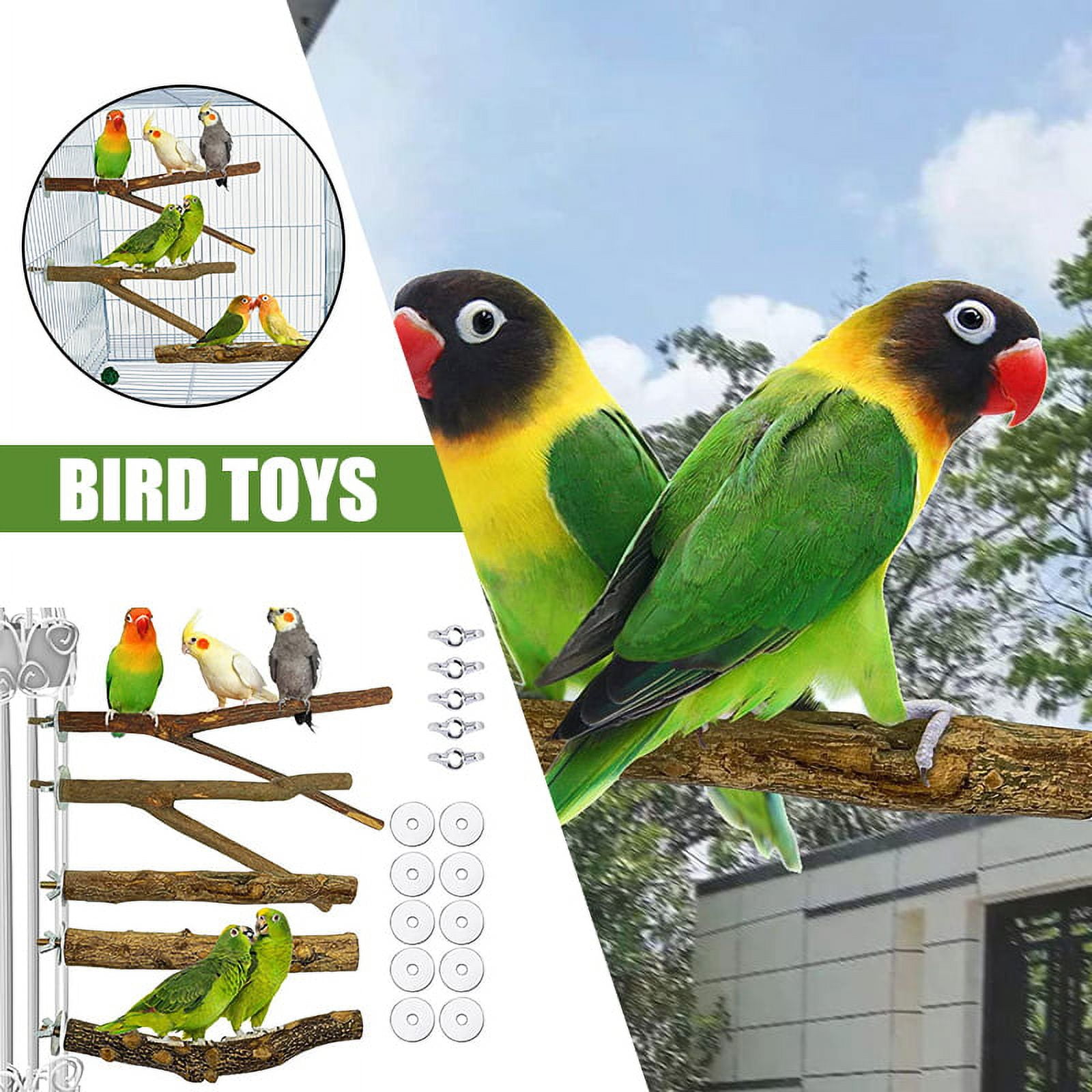 Zebra finch hotsell cage accessories