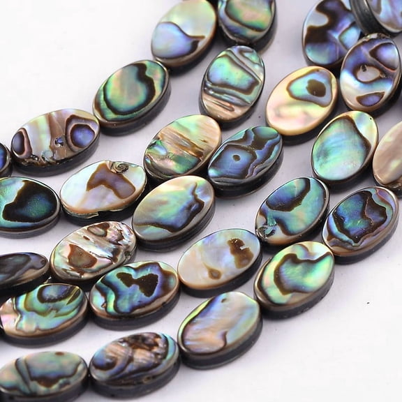 5Strand Natural Abalone Shell/Paua Shell Beads Strands Oval Colorful 12x8x3mm Hole: 0.5mm