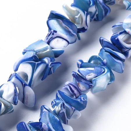5Strand Natural Trochid Shell/Trochus Shell Bead Strands Dyed Royal Blue 8~16x7~13x2~15mm Hole: 1.2mm about 39~46pcs/strand 6.89 inch~7.28 inch(17.5~18.5cm)