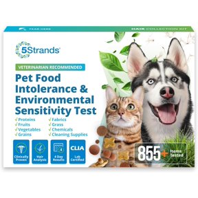 5Strands Pet Food & Environmental Intolerance Test, at Home Sensitivity Test for Dogs & Cats, 857 Items Tested, Pet Health Check, Fast 5 Day Results, For All Ages and Breeds