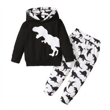 5T Little Boys Clothes 4-5Y Outfits Baby Boys Dinosaur Print Hooded Long Sleeve Top Pants Set,Size 2-6T