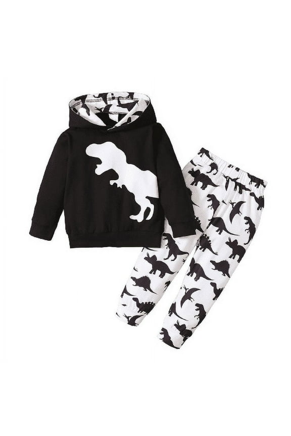 5T Little Boys Clothes 4-5Y Outfits Baby Boys Dinosaur Print Hooded Long Sleeve Top Pants Set,Size 2-6T