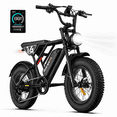 thumbnail image 1 of 5TH WHEEL LB16 750W Electric Bike for Adults, 20" × 4 Fat Tire E Mountain Bikes, 48V 14.5Ah Removable Battery, Front Suspension, 7-Speed UL2849, 1 of 11