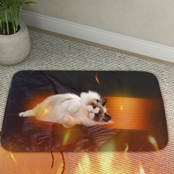 5V Pet Heating Pad with 3 Temperature Settings 39x30 Inch Portable Electric Pet Warmer for Indoor Outdoor Use USB Type-C Powered Pet Bed for Cats Small Dogs