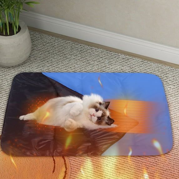 5V Pet Heating Pad with 3 Temperature Settings 39x30 Inch Portable Electric Pet Warmer for Indoor Outdoor Use USB Type-C Powered Pet Bed for Cats Small Dogs