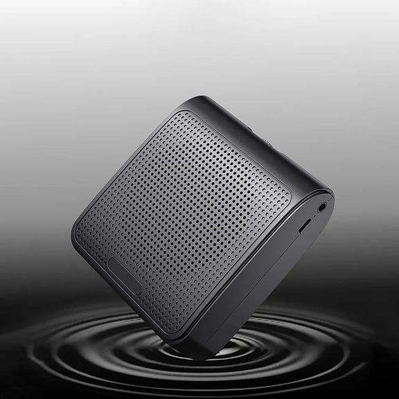 5W Voice Amplifier Multifunctional Portable Personal Voice Speaker with Microphone ,Loud Volume