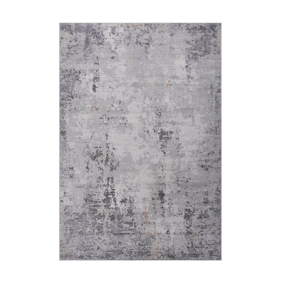 5X7 ft Abstract Area Rug,Indoor Soft Floor Carpet,Stain Resistant & Pet-Friendly