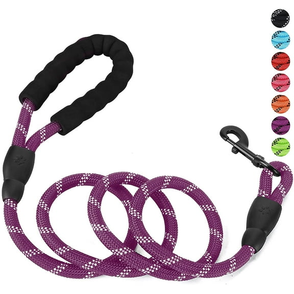 Rirool 5ft Nylon Rope Dog Leash for Large & Medium Dogs 18-120 lbs, Highly Reflective,Anti-Slip Grip, Purple