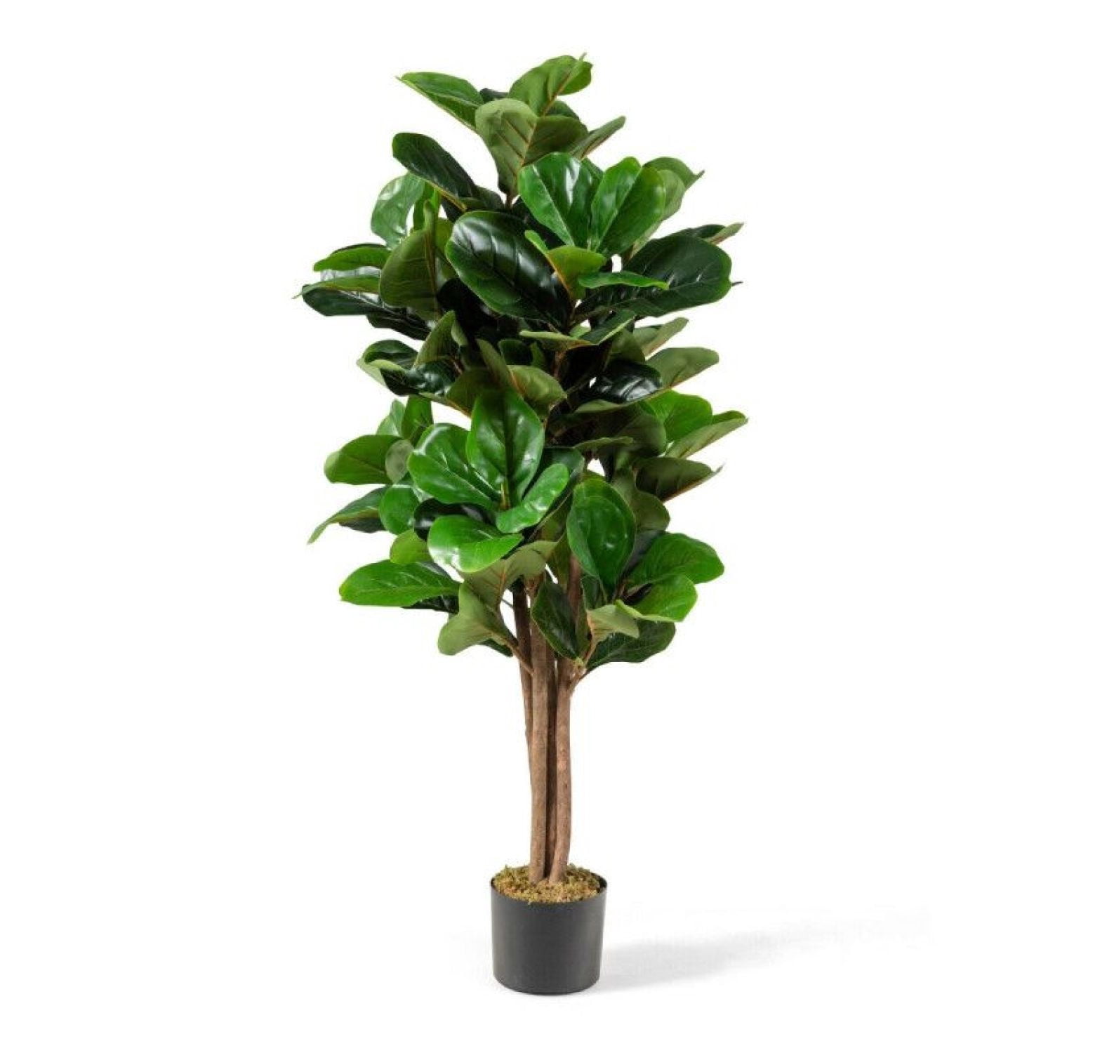 5ft Artificial Fiddle Leaf Fig Tree, Decorative Indoor Plant, Realistic Greenery, Home & Office Decor, Plastic Planter with Moss, 180 Leaves