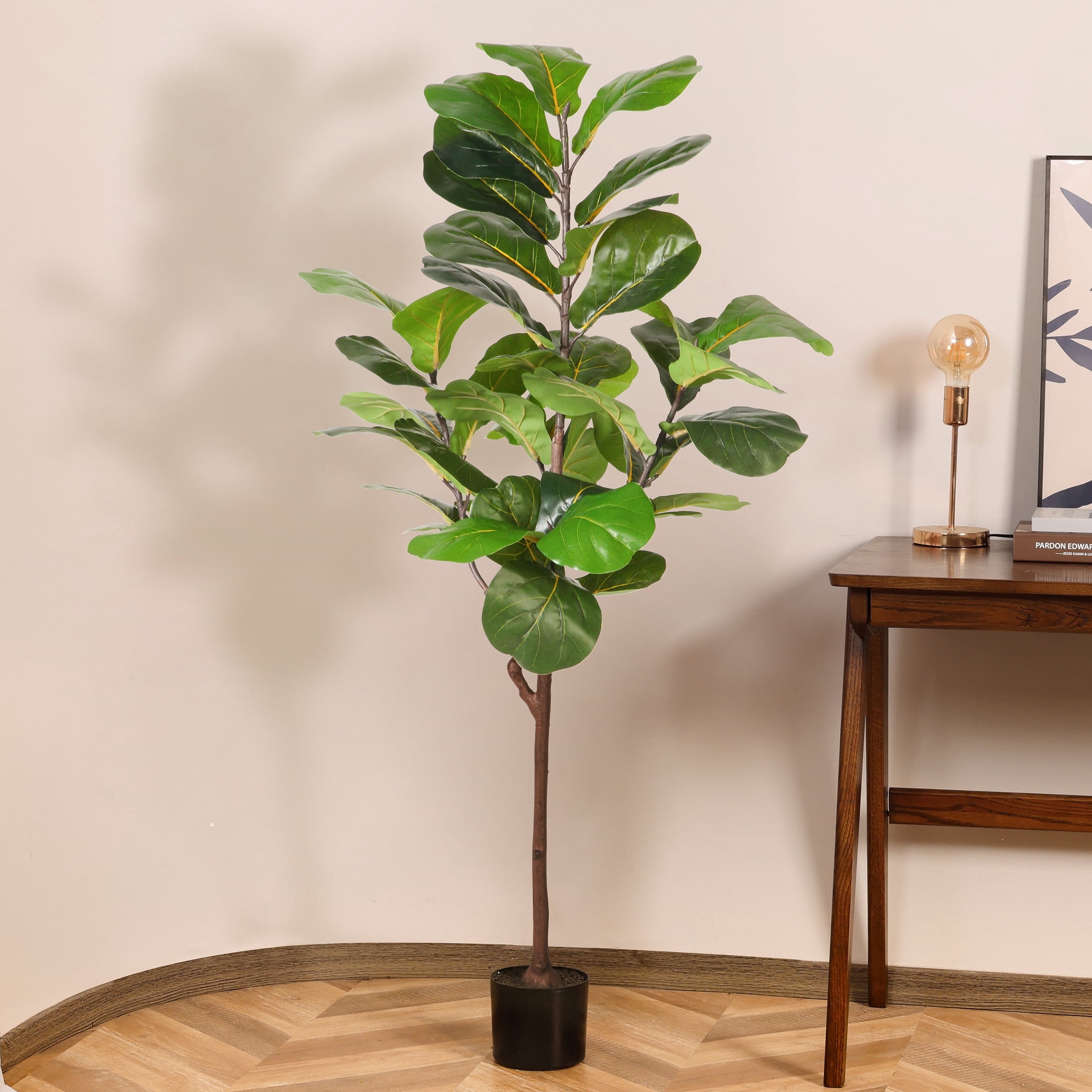 anthurium acual Pink Anthurium Houseplant with Planter - Small (12"-16" tall) Terracotta Planter