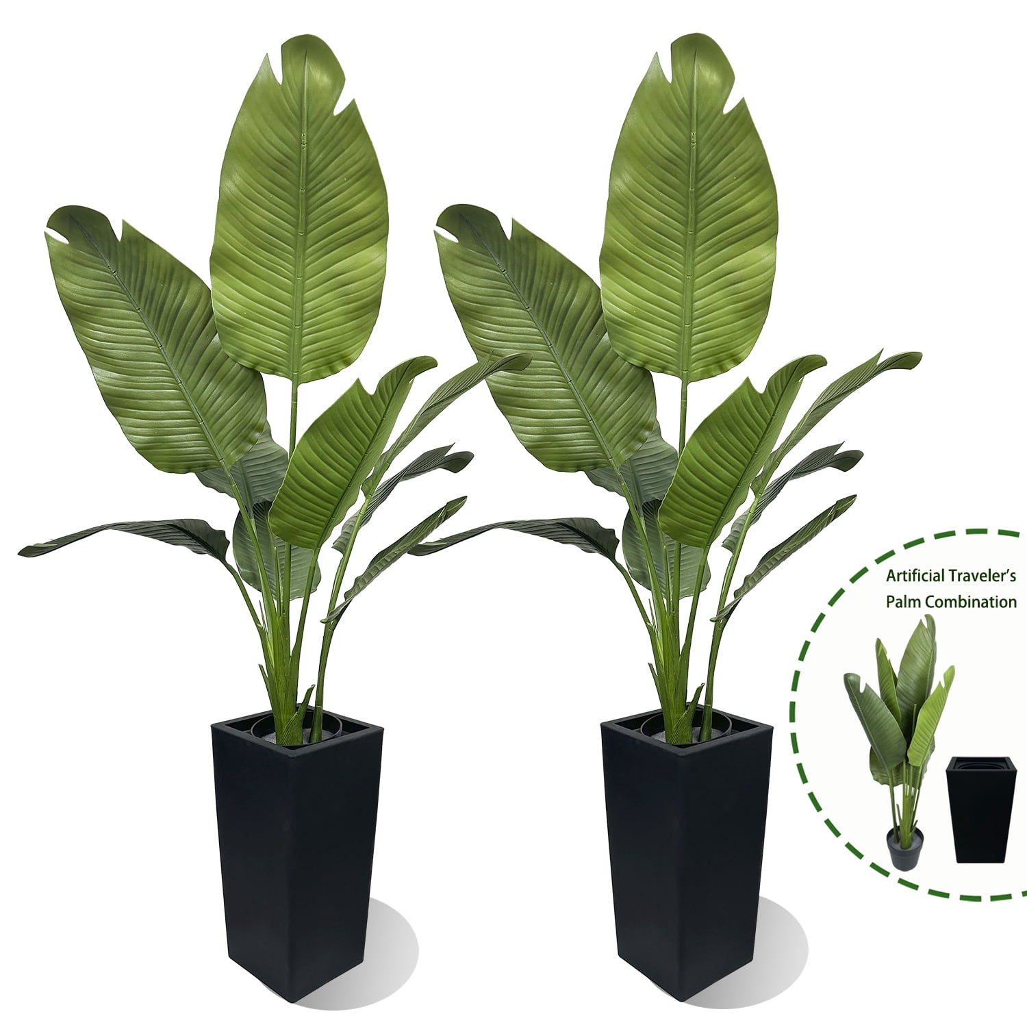 Midwest Tropical AP-7D AquaPalm Palm Tree, 4 gal. Style