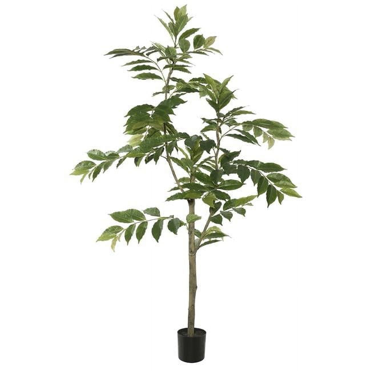5ft. Potted Nandina Tree Leaves - Green - Walmart.com