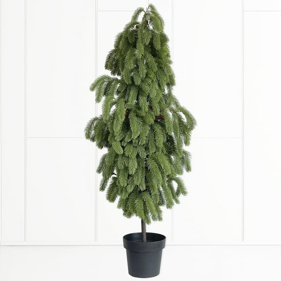 5ft artificial Norfolk pine tree,drooping pine and pine balls achieves a realistic effect. indoor and outdoor decoration, window sills, display Windows, porches and other placesset of 1