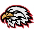 thumbnail image 1 of 5in x 3.5in Red Eagle Head Mascot Sticker Vinyl School Bumper Stickers, 1 of 1
