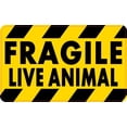 thumbnail image 1 of 5in x 3in Fragile Live Animal Magnet, 1 of 2