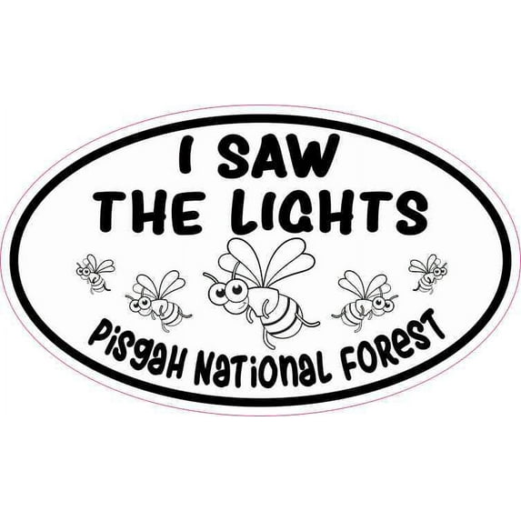 5in x 3in I Saw the Lights Pisgah National Forest Sticker