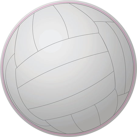 5in x 5in Volleyball Sticker
