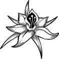 thumbnail image 1 of 5in x 5in White Flower Sticker, 1 of 1
