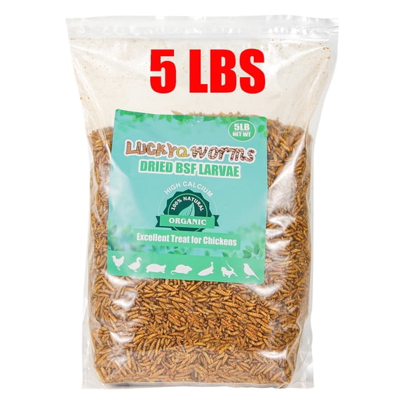 5lb Dried Black Soldier Fly Larvae BSF Chickens Treats Hen Fish Birds Food