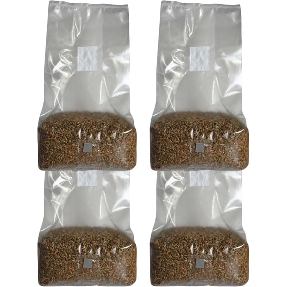 5lb Organic Sterile Mushroom Grain Spawn | Injector Port Grow Bags, Hydrated, Ready to Inoculate (Pack of 4) | Made in USA
