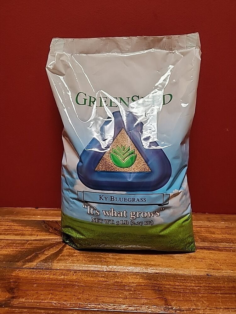 5lbs KENTUCKY BLUEGRASS Grass Seed Shade Tolerant Plant Spring or Fall