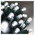5mm LED Wide Angle Cool White Prelamped Light Set, Green Wire 50 LED